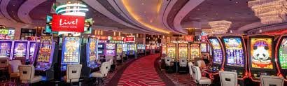 Antarmuka permainan Caribbean Stud Poker live di platform pendi188 dengan dealer profesional